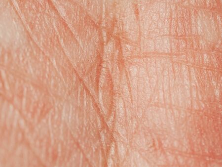 Young male skin close upの写真素材