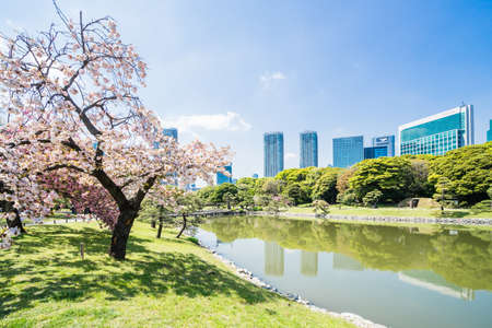 TOKYO; JAPAN - APRIL 10, 2018: Hama Rikyu garden. This famous traditional garden is near Sumida...