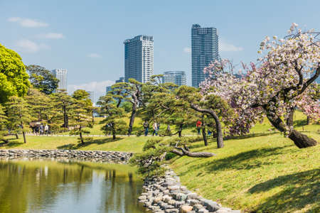 TOKYO; JAPAN - APRIL 10, 2018: Hama Rikyu garden. This famous traditional garden is near Sumida River.のeditorial素材