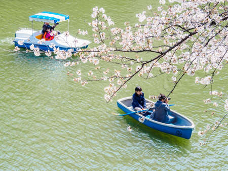 TOKYO; JAPAN - MARCH 25, 2018: Chidorigafuchi park is a popular sakura spot in Tokyo.のeditorial素材