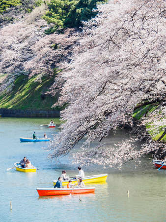 TOKYO; JAPAN - MARCH 25, 2018: Chidorigafuchi park is a popular sakura spot in Tokyo.のeditorial素材