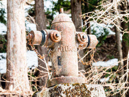 Fire hydrant in japanese street