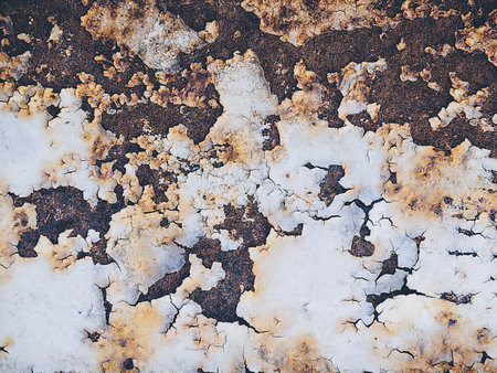 Old grungy decayed wall in close-upの写真素材
