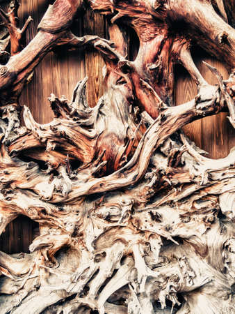 wood texture backgroundの写真素材