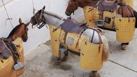 Horses in a stableの写真素材