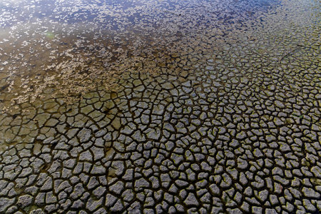 Land dry due to lack of rain, climate change.の写真素材