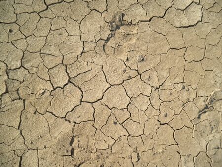 dry land