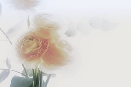 flowers backgrounds