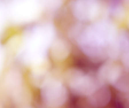 background colors bokehの写真素材