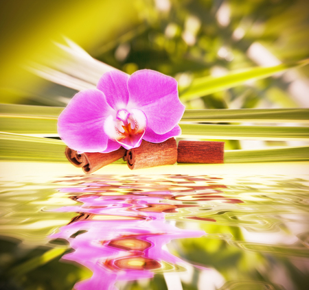 orchid flower background effect vintageの写真素材