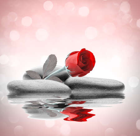 spa flowers with water and stonesの写真素材