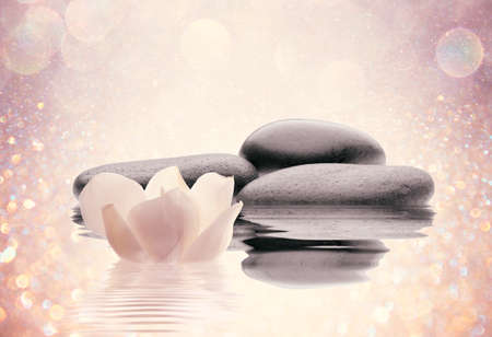 spa flowers with water and stonesの写真素材