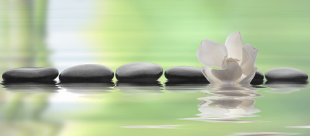 stones isolated on waterの写真素材