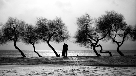 A couple silhouette hugging  each other among trees in snowy scene - Black and whiteの写真素材