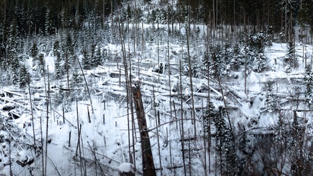 Winter landscape in snowy Tatra Mountains.の写真素材