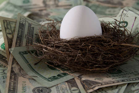 A white egg in a straw nest over a pile of dollar billsの写真素材