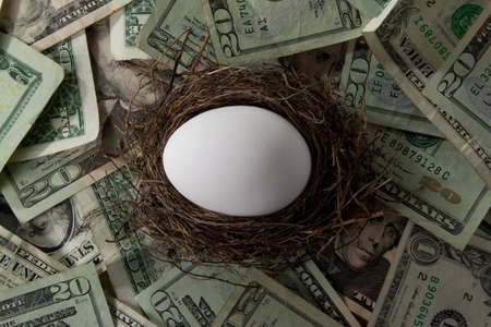A white egg in a straw nest over a pile of dollar billsの写真素材