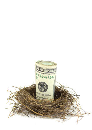 A close up of a roll of hundred dollar bills in a birds nest on a white backgroundの写真素材