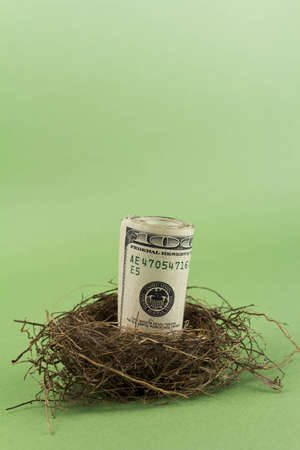 A close up of a roll of 100 dollar bills in a birds nest on a green background with copy spaceの写真素材