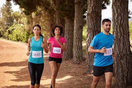 Three earnest runners in a cross country marathon with trees behind them wearing casual running clothes in the late morningの写真素材