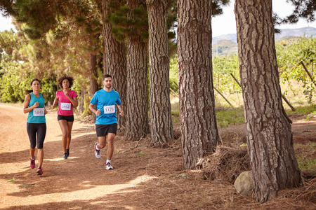 Three friends running a cross country race with trees behind them while wearing casual running clothes in the late morningの写真素材