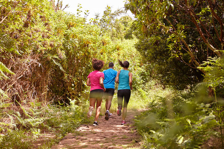 A male and his two female friends running on a jogging trail surrounded by trees in the late morning shadows wearing t-shirts and black pantsの写真素材