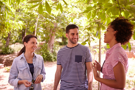 Three happy friends telling jokes and laughing together in the dappled afternoon sunshine with some trees around them wearing casual clothingの写真素材