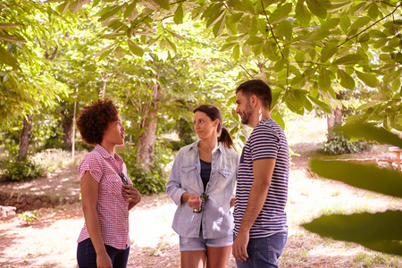 Three happy friends discussing something in the dappled afternoon sunshine with some trees around them wearing casual clothingの写真素材