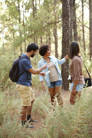 Three friends pointing at something in a pine tree forest in the late afternoon sunshine while looking at the cell phone looking worriedの写真素材