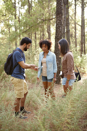 Three friends discussing something in a pine tree forest in the late afternoon sunshine while looking at the cell phone looking concernedの写真素材