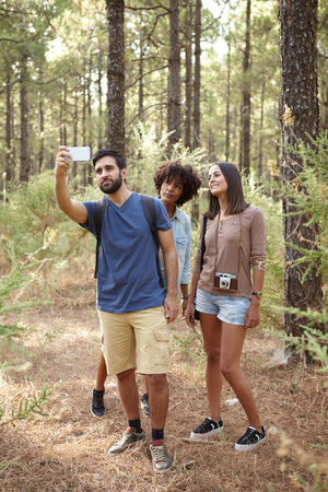 Three friends taking a selfie in a pine tree forest in the late afternoon shadows in front of a tree while wearing casual clothingの写真素材