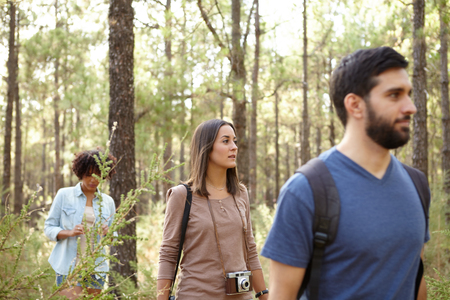 Three friends walking through a pine tree plantation in the late afternoon sunshine while looking forward intentlyの写真素材