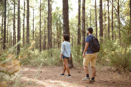 Two friends exploring a pine tree plantation in the late afternoon sunshine, looking ahead while wearing casual clothingの写真素材