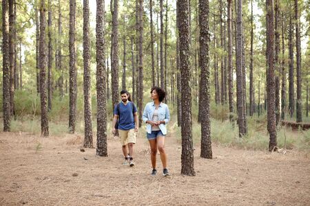 Young couple wandering in the pine tree forest in the late afternoon sunshine while wearing casual clothingの写真素材