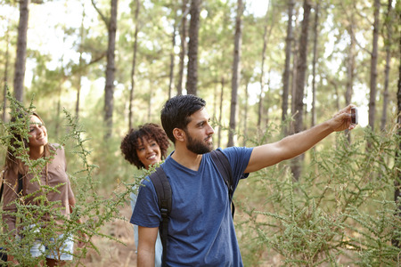 Young friends taking pictures with a cellphone of pine trees in the late afternoon sun while wearing casual clothingの写真素材