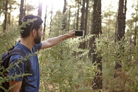 Handsome young man taking pictures with a cellphone of pine trees in the late afternoon sun while wearing casual clothingの写真素材