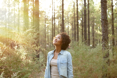 Young girl looking up into the pine trees in a plantation in the late afternoon sun while wearing casual clothingの写真素材