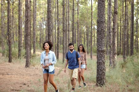 Three friends looking lost in the pine tree forest in the late afternoon sunshine while wearing casual clothingの写真素材