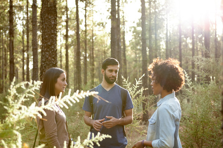Young friends talking with each other surrounded by pine trees in the late afternoon sun while wearing casual clothingの写真素材