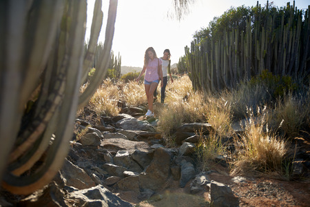 Two fit young girl friends climbing down a rocky path between large cacti with the late afternoon sun behind themの写真素材