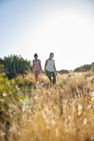 Two lovely young girls walking down a grassy hill wearing casual clothing with their arms beside them in the afternoon sunの写真素材
