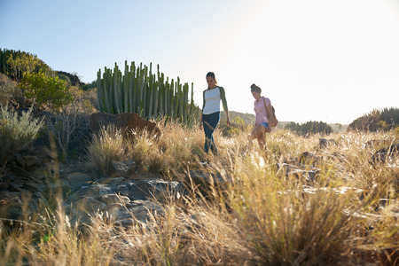Two young girlfriends walking down a rocky hill wearing casual clothing with their arms beside them in the afternoon sunの写真素材