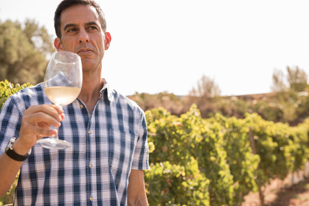An attractive man standing in the vineyards holding a glass of white wine wearing a checkered blue...