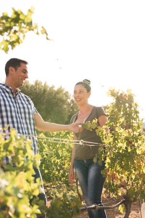 A woman looking at a man and smiling on a sunny day out in the vineyardsの写真素材