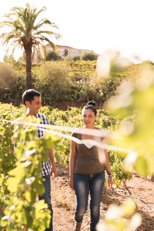 Man and woman standing in the vineyards on a sunny day wearing casual clothing and talking to each otherの写真素材