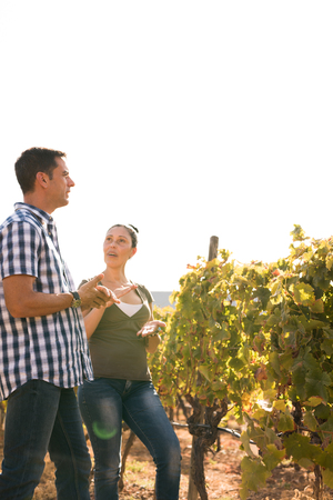 Woman and man talking in the vineyards on a bright sunny day wearing jeans and casual topsの写真素材