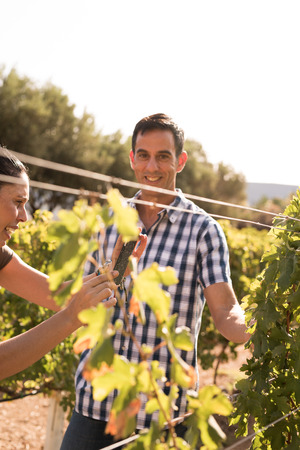 Happy couple having fun in the vineyard with the man wearing a casual checkered shirt and the woman gesturing at the vinesの写真素材