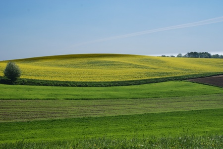 summer landscape in central Polandの写真素材