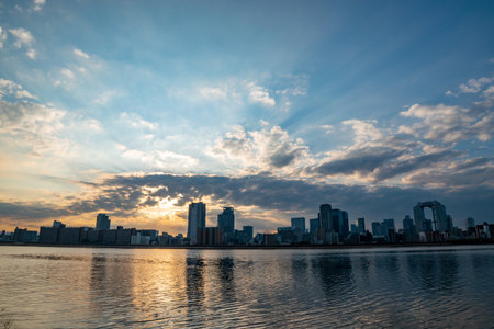 View of riverside with a blue sky, some plants and Umeda city in the background (Umeda, Osaka, Japan) (fish-eye effect) (20230606-010)の写真素材