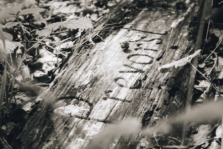 Old village sign of Prevorst on the forest floorの写真素材